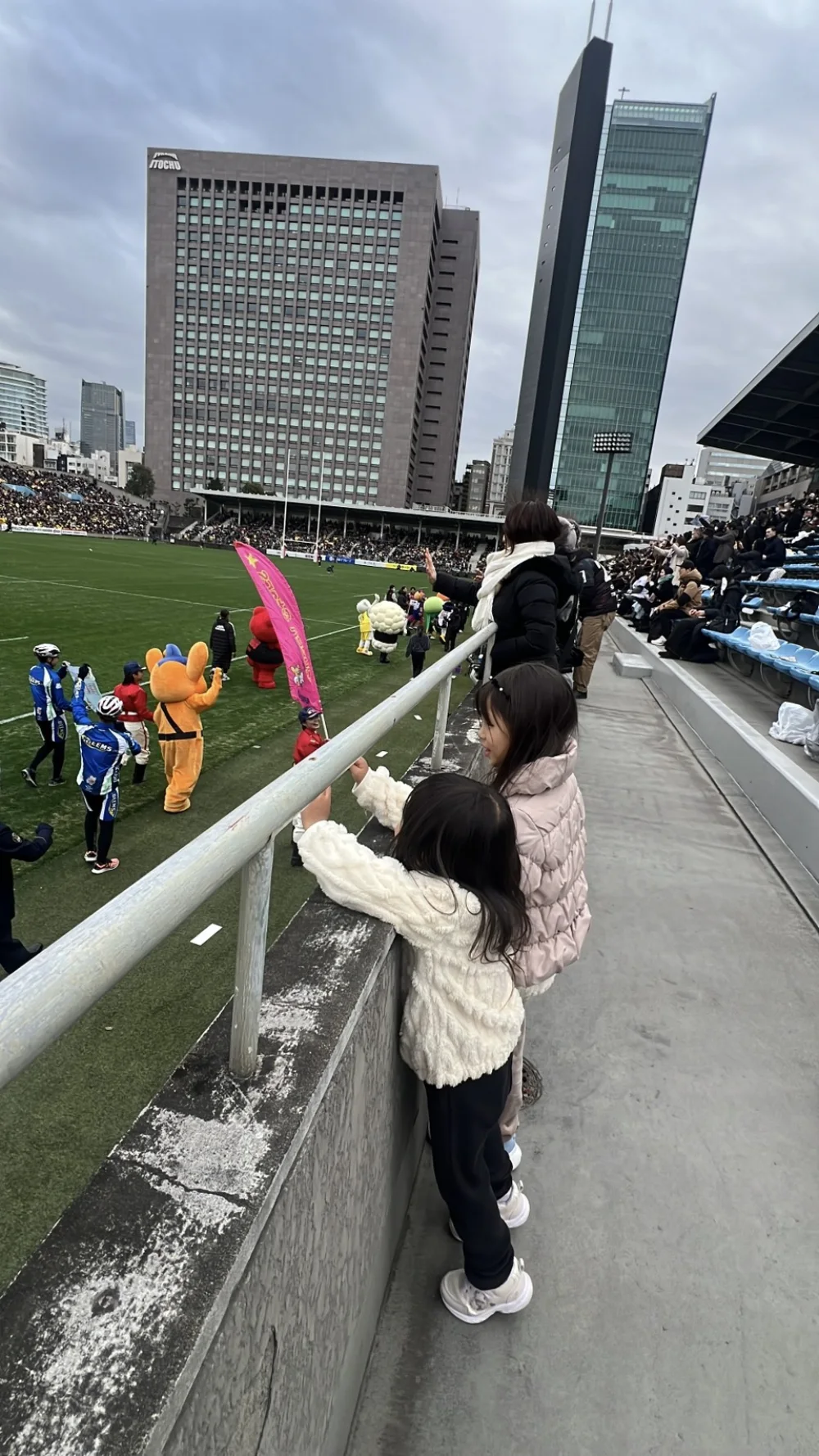 スポーツ観戦